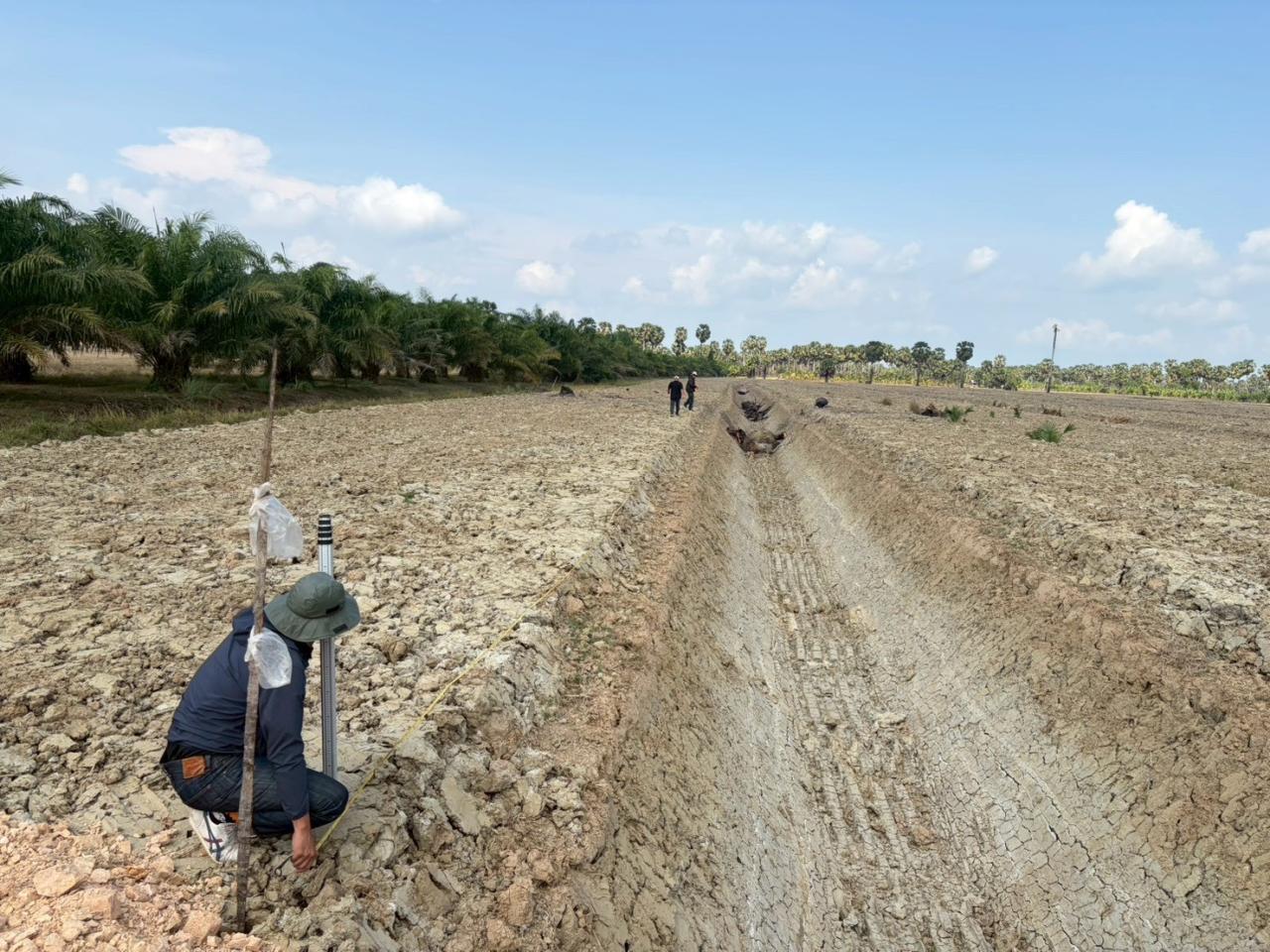 ภาพประกอบที่ 4