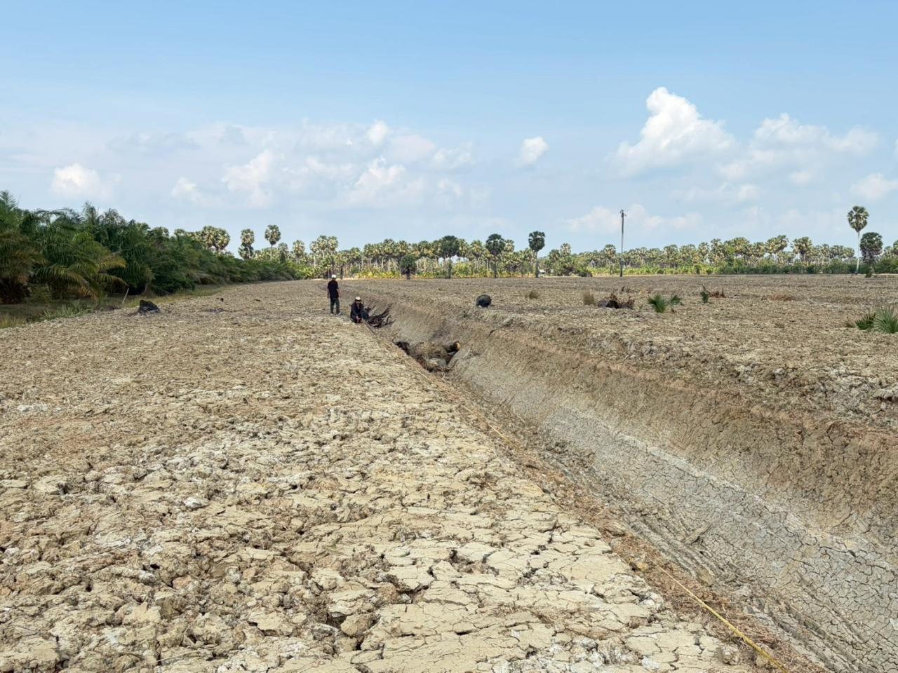 ภาพประกอบที่ 5