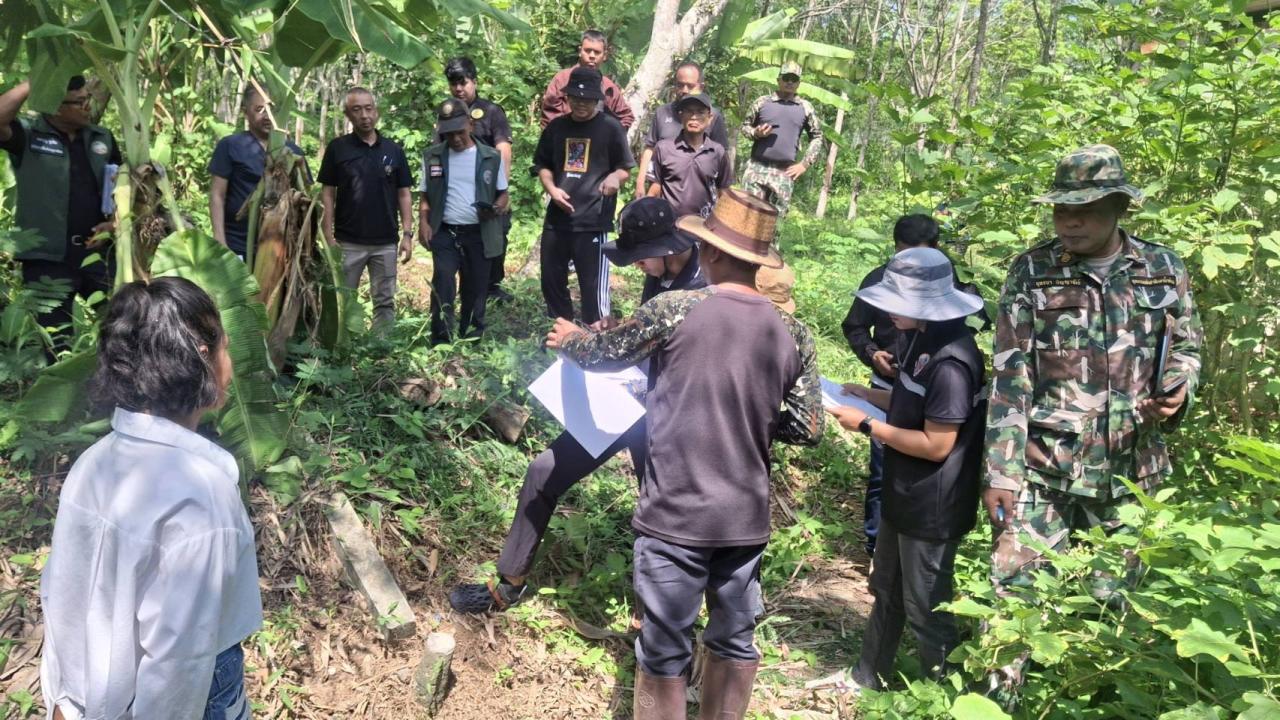 ภาพประกอบที่ 1