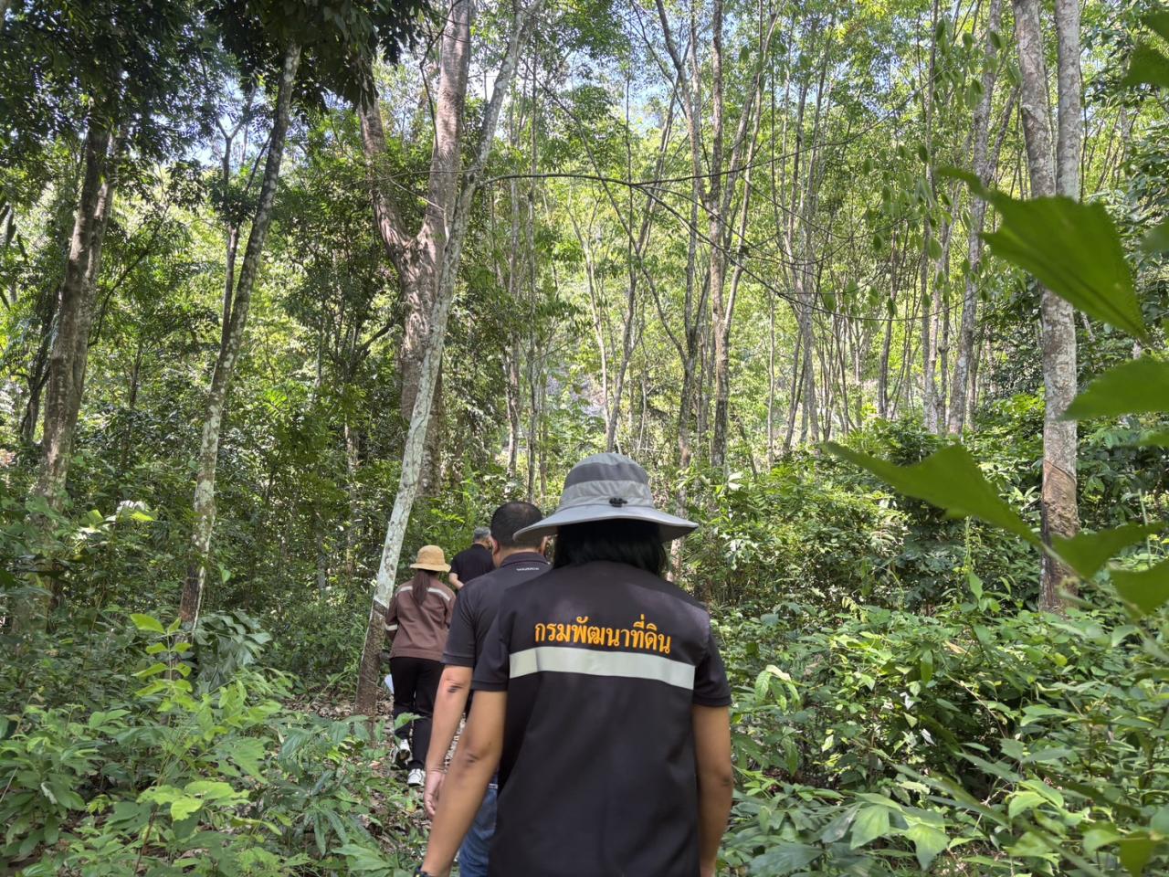 ภาพประกอบที่ 6