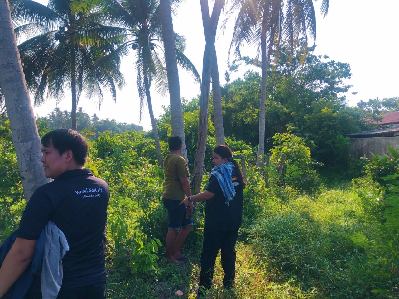 ภาพประกอบที่ 5