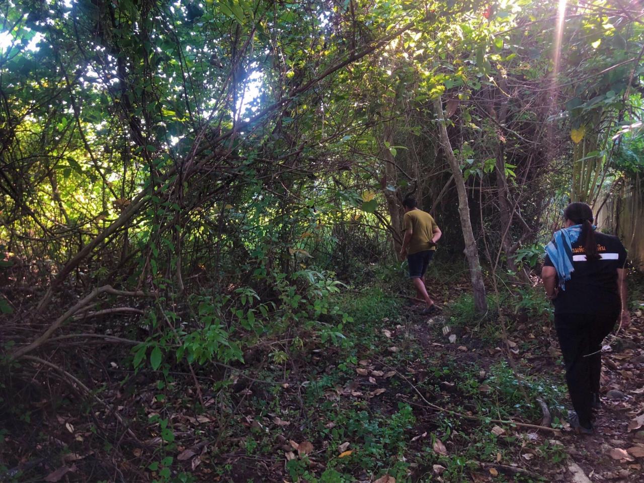 ภาพประกอบที่ 6