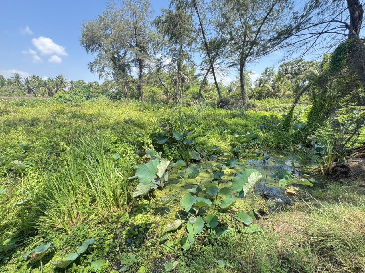 ภาพประกอบที่ 4