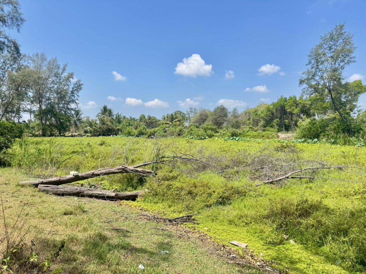 ภาพประกอบที่ 5