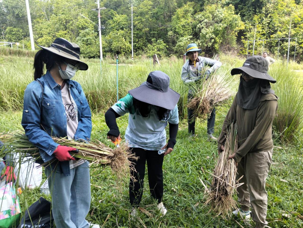 ภาพประกอบที่ 0