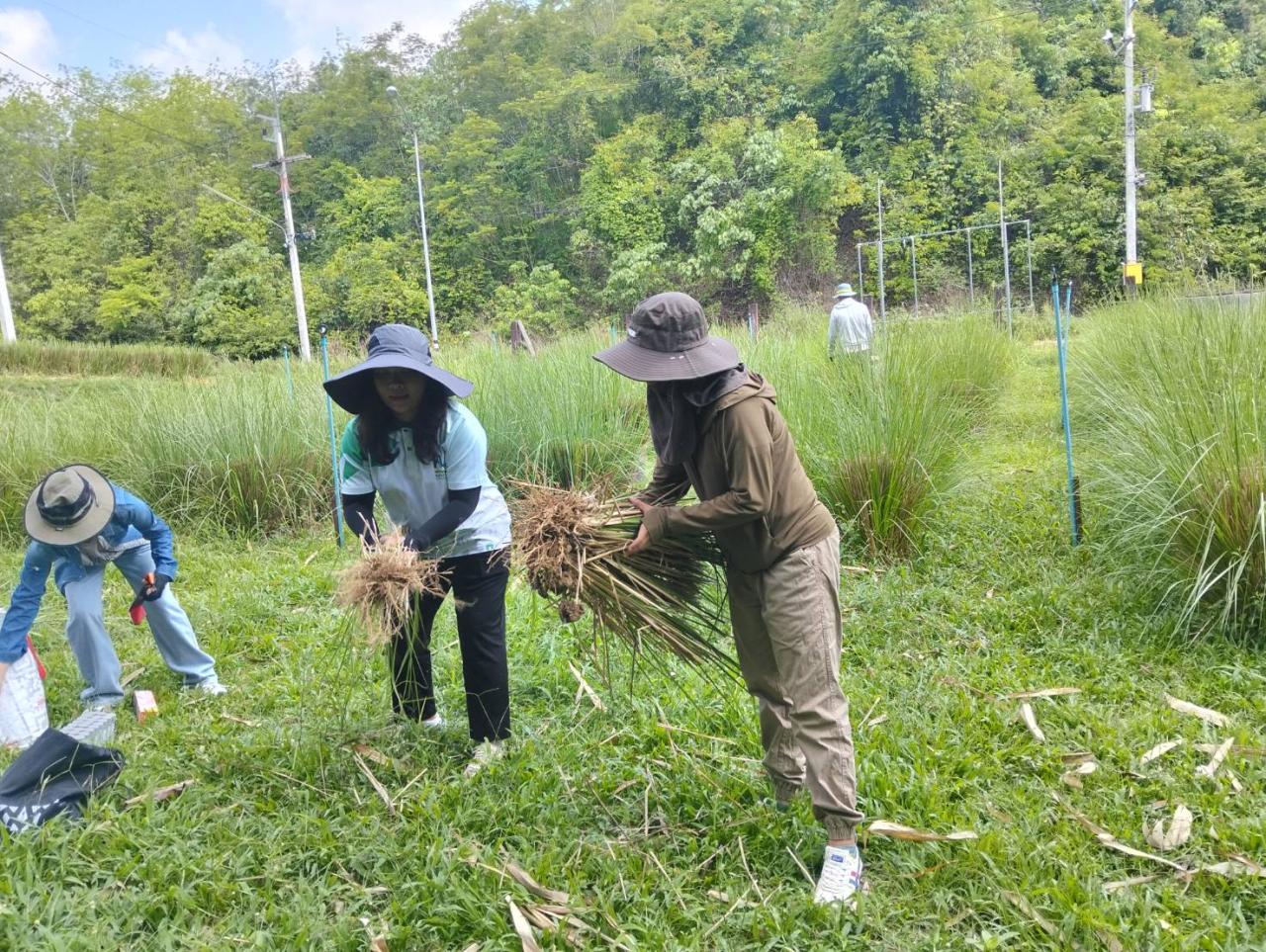 ภาพประกอบที่ 1
