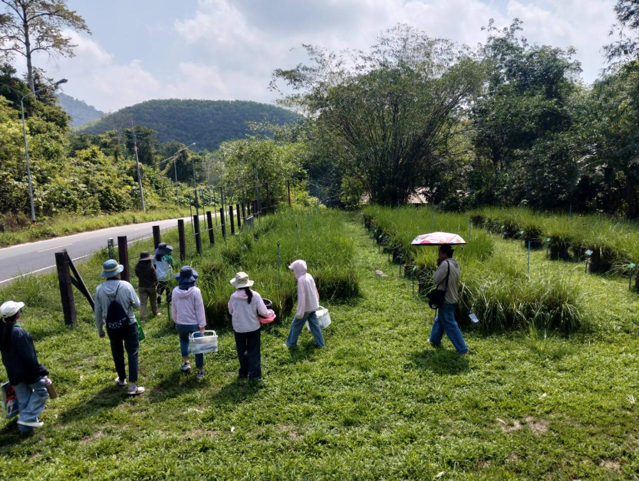 ภาพประกอบที่ 2