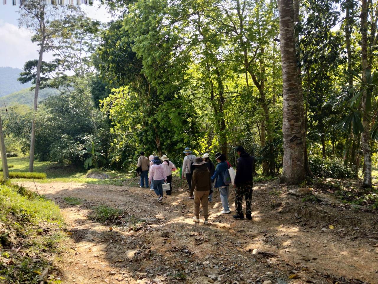 ภาพประกอบที่ 3