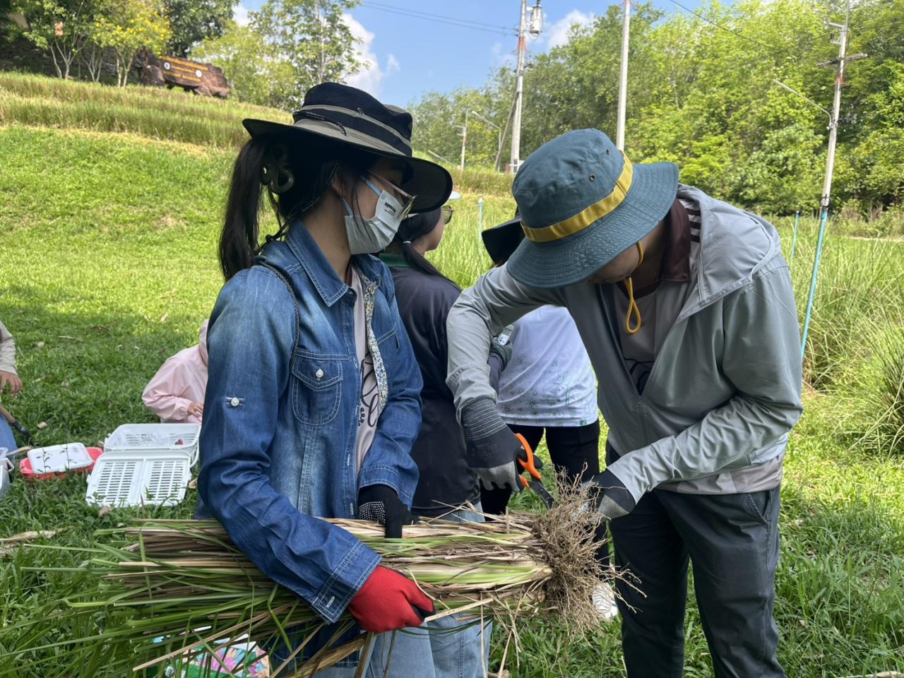 ภาพประกอบที่ 4