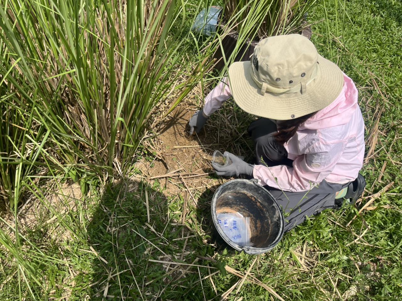 ภาพประกอบที่ 5