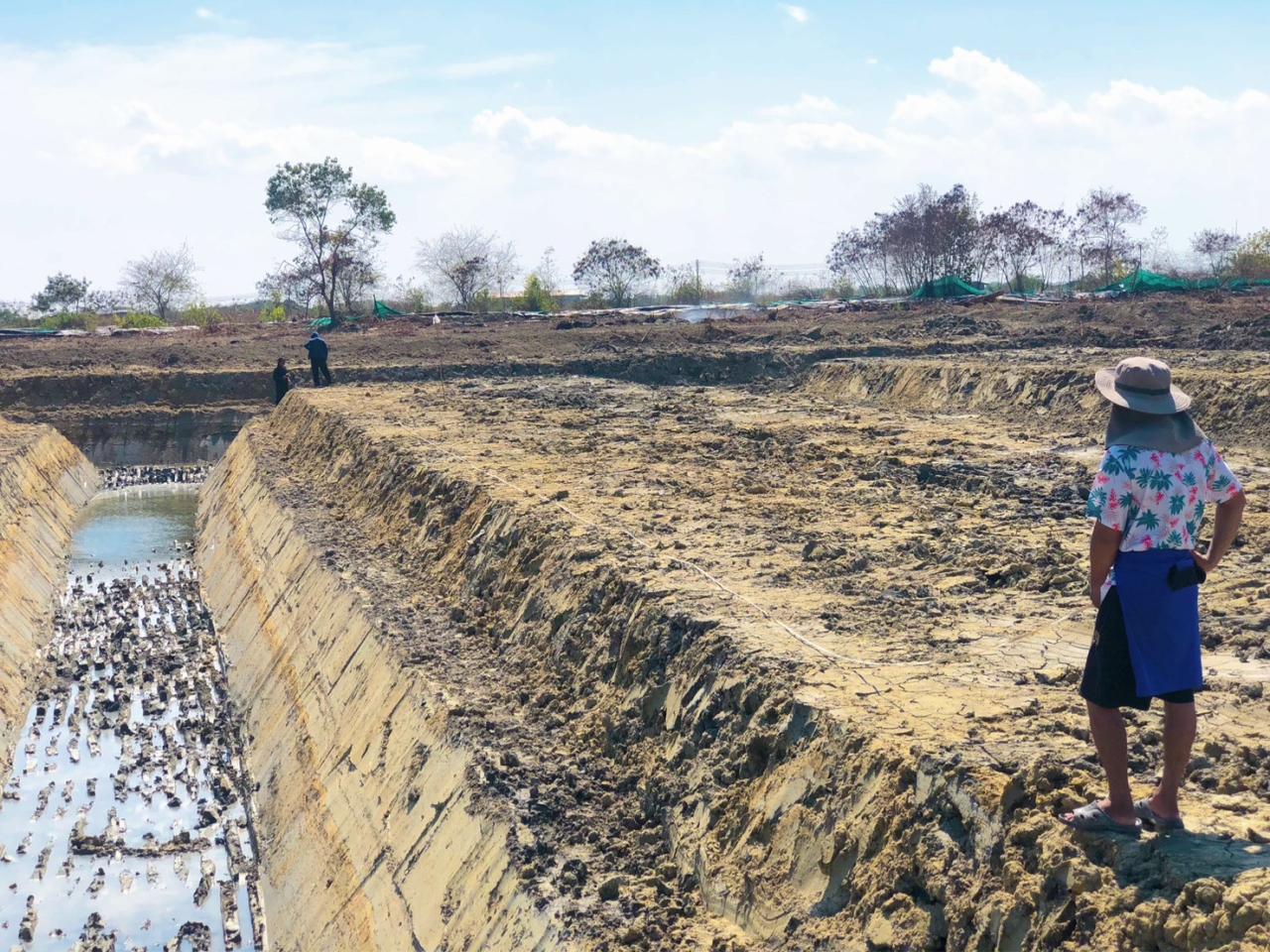 ภาพประกอบที่ 8