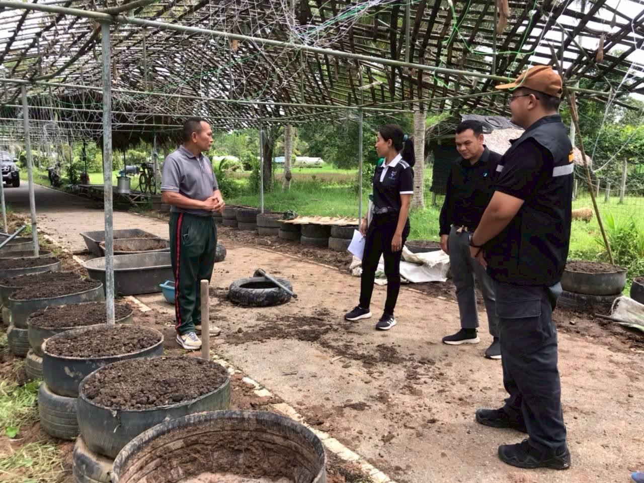 ภาพประกอบที่ 12
