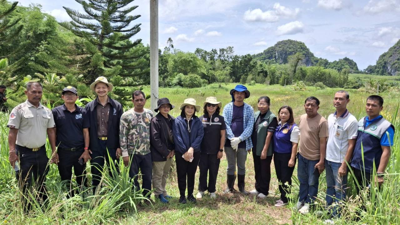 ภาพประกอบที่ 0