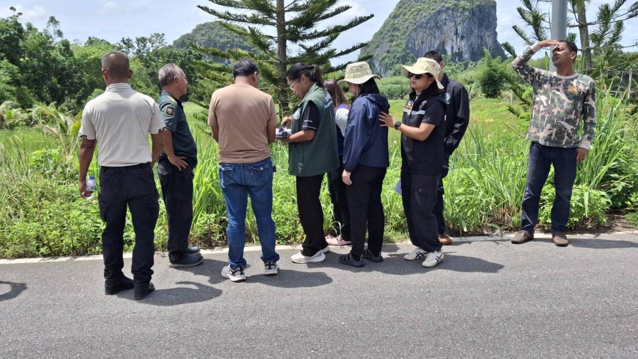 ภาพประกอบที่ 2