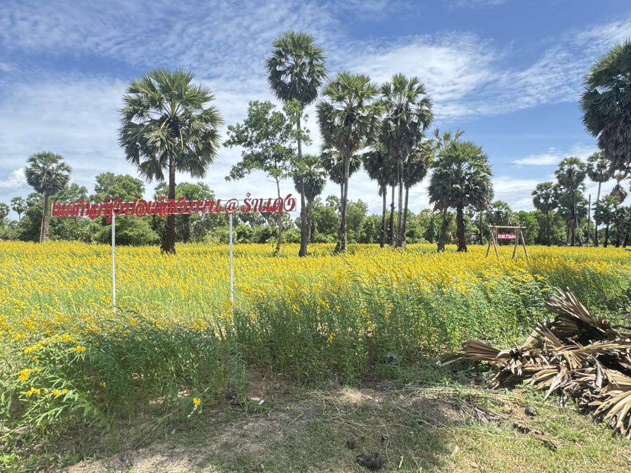 ภาพประกอบที่ 10