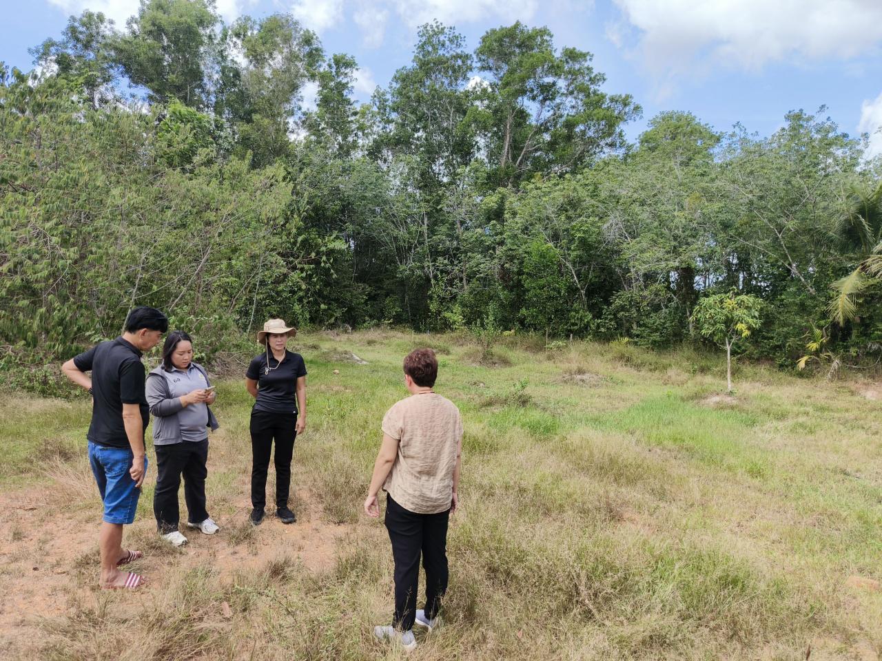 ภาพประกอบที่ 0