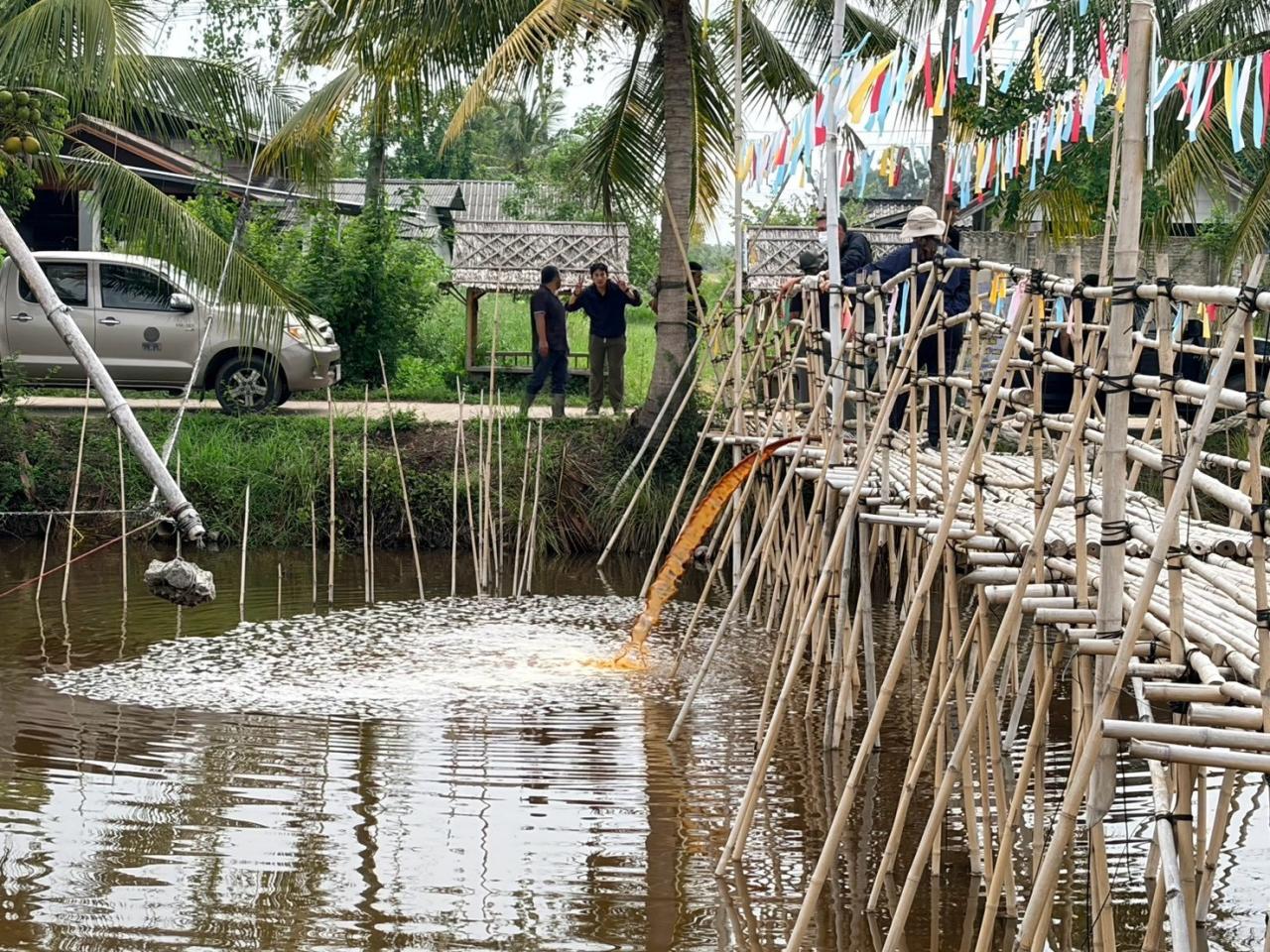 ภาพประกอบที่ 2