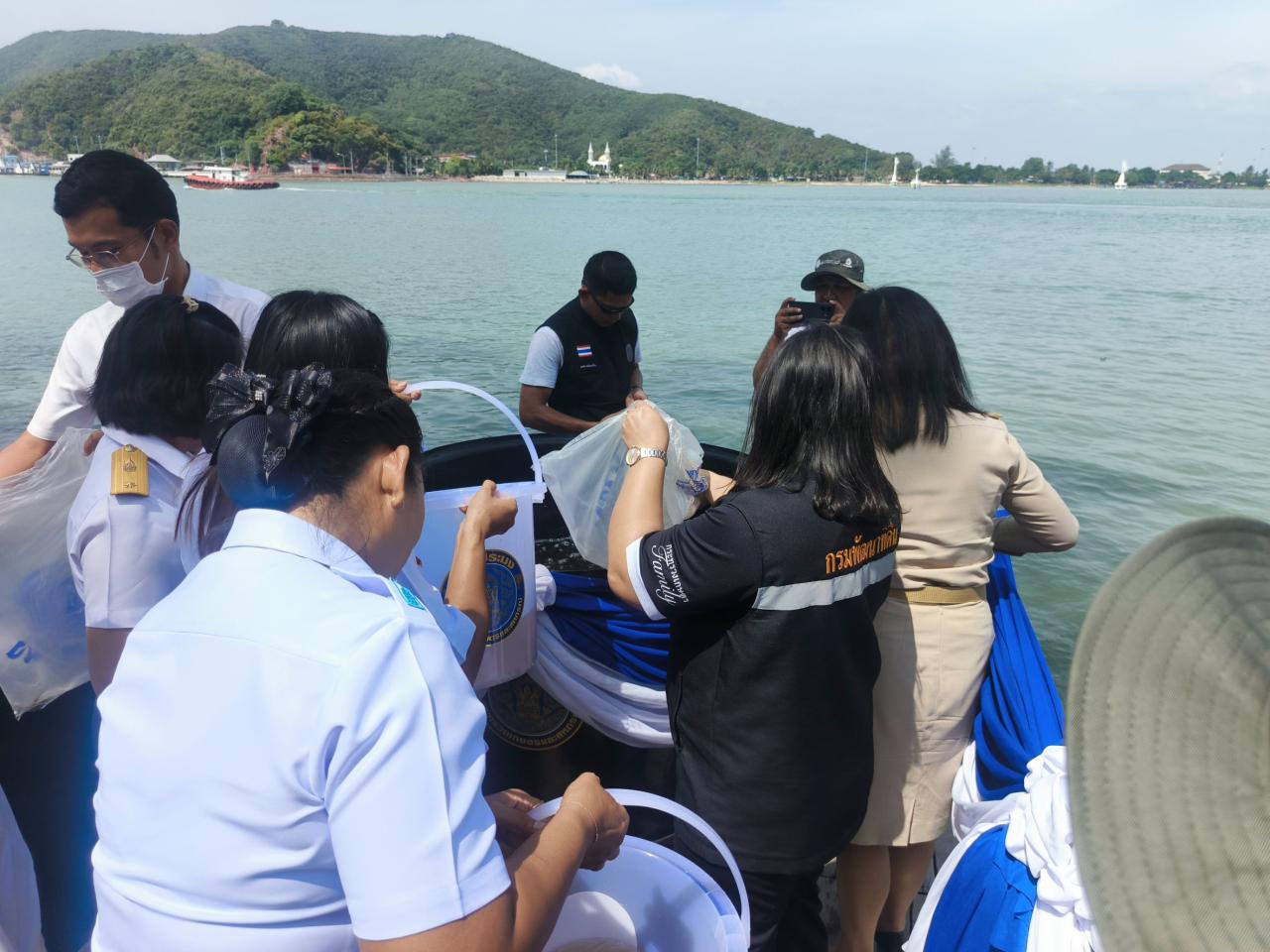 ภาพประกอบที่ 4