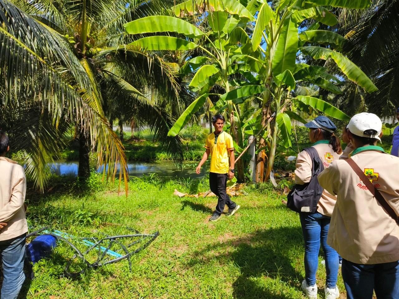 ภาพประกอบที่ 0