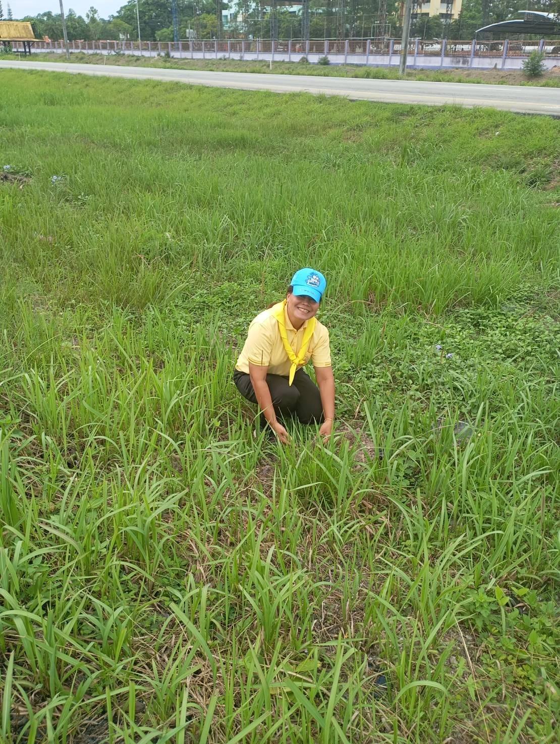 ภาพประกอบที่ 3