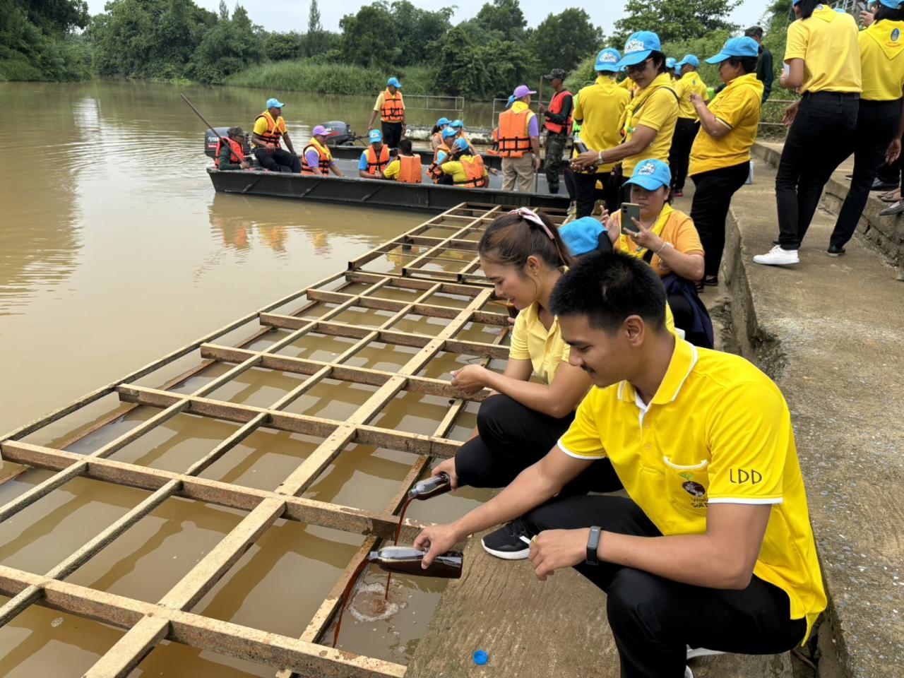 ภาพประกอบที่ 5