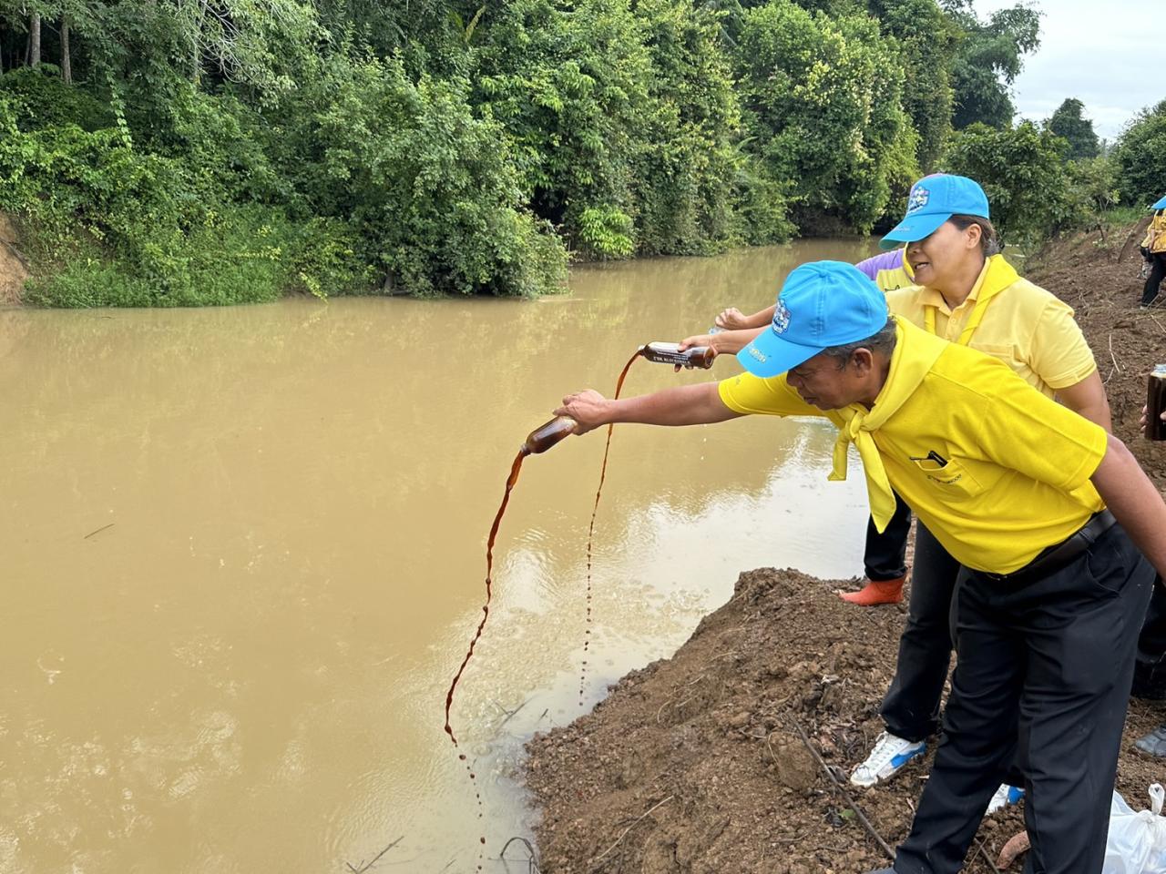 ภาพประกอบที่ 5