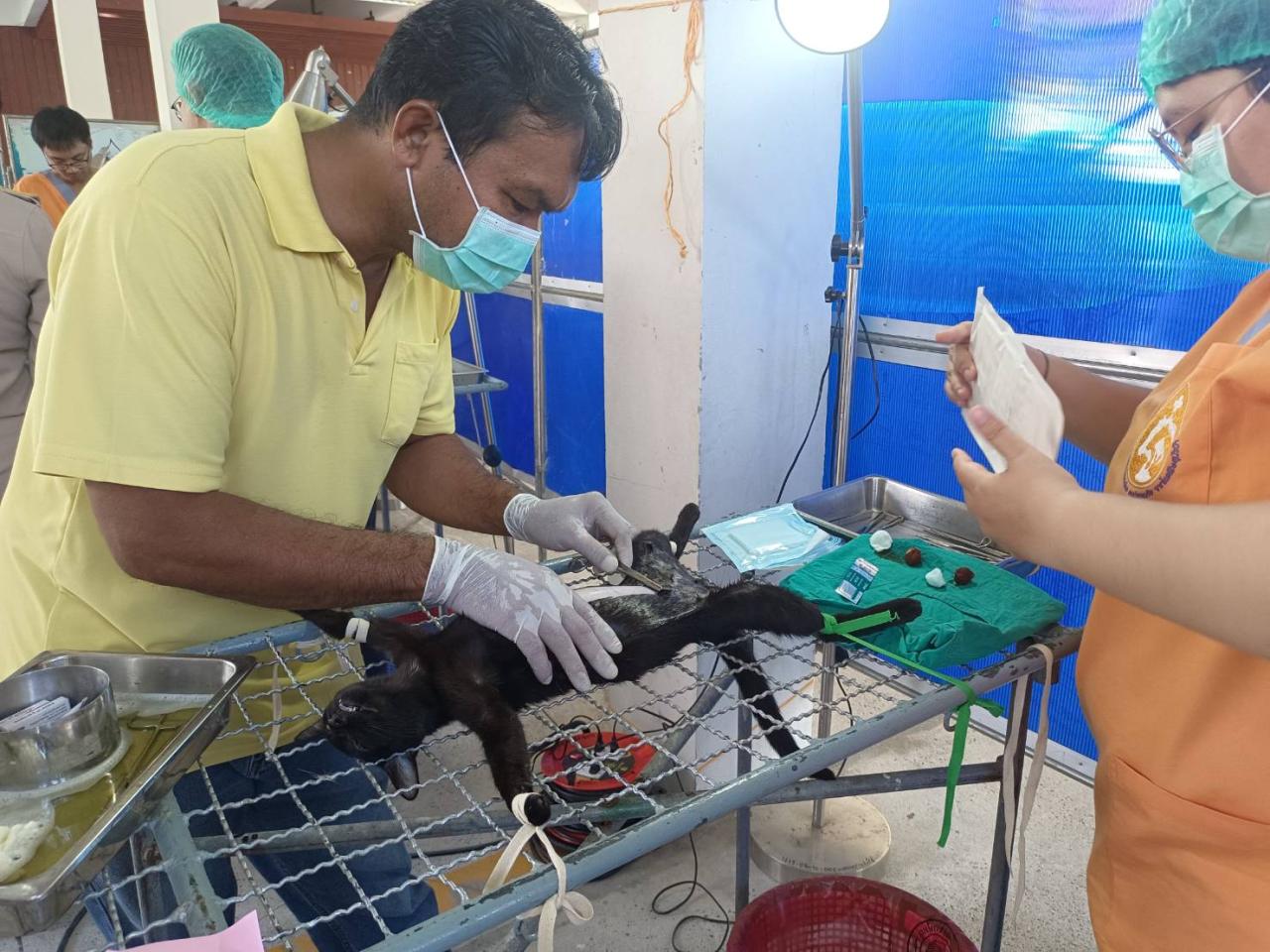 ภาพประกอบที่ 4