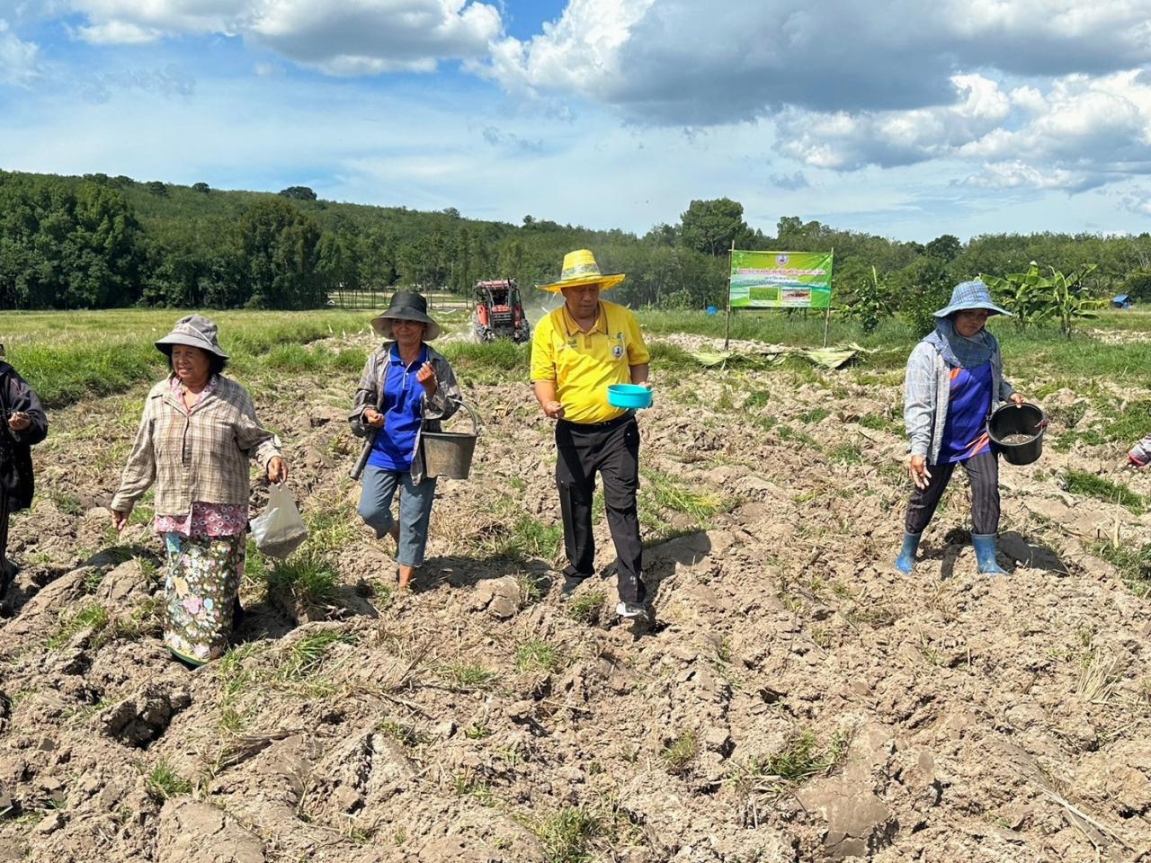 ภาพประกอบที่ 6