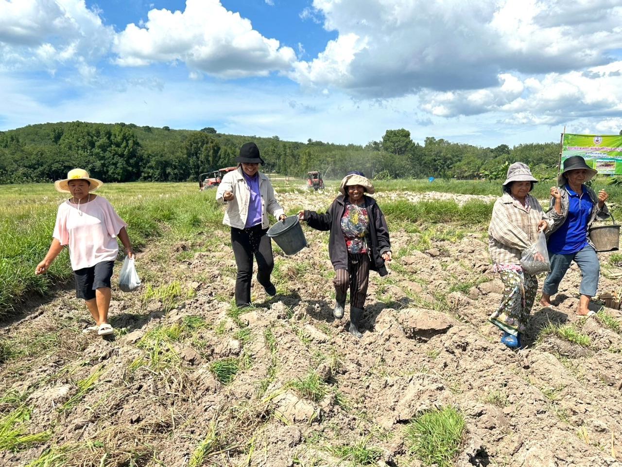 ภาพประกอบที่ 8