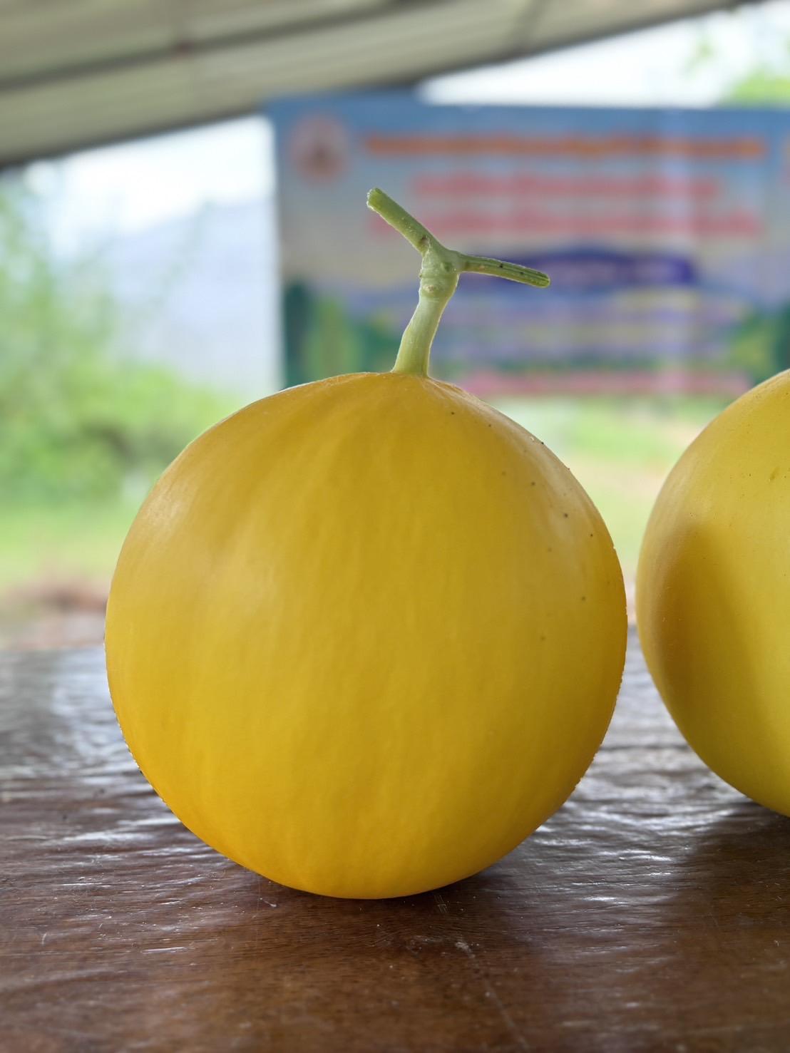 ภาพประกอบที่ 6