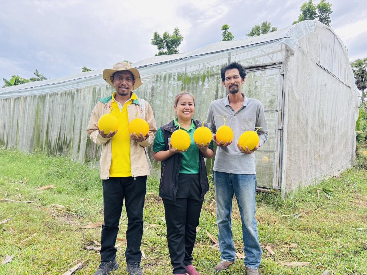 ภาพประกอบที่ 7