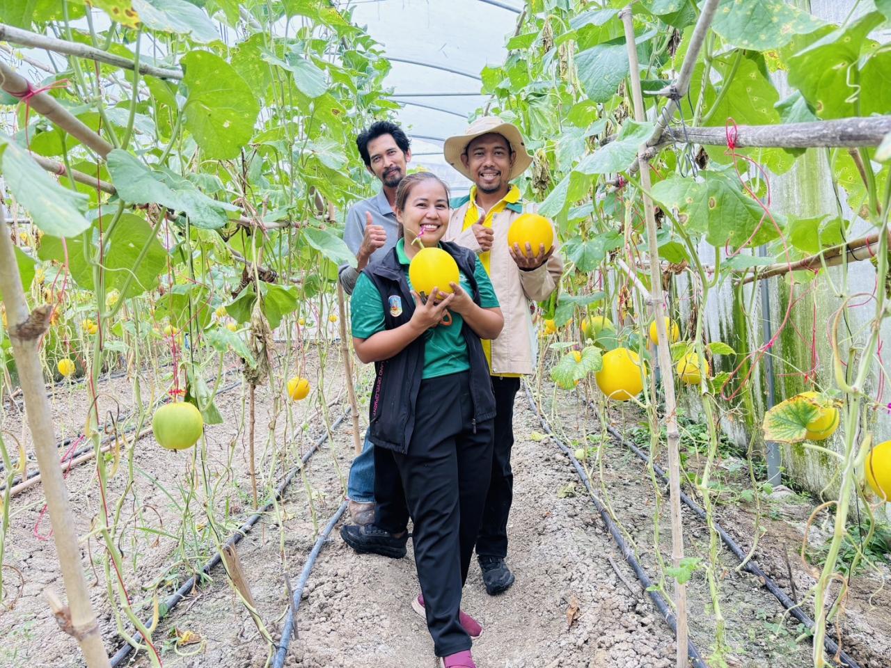 ภาพประกอบที่ 8