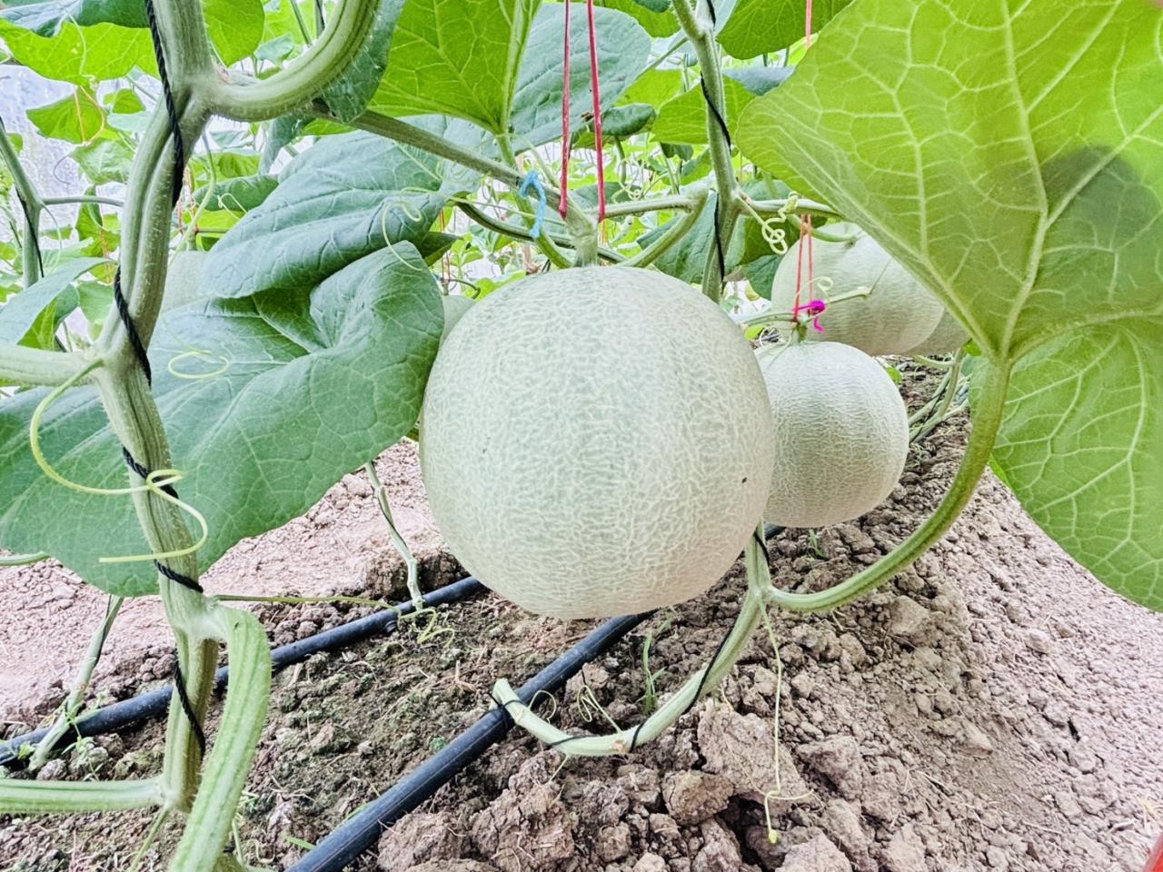 ภาพประกอบที่ 9