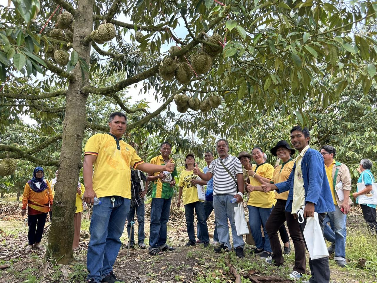 ภาพประกอบที่ 6