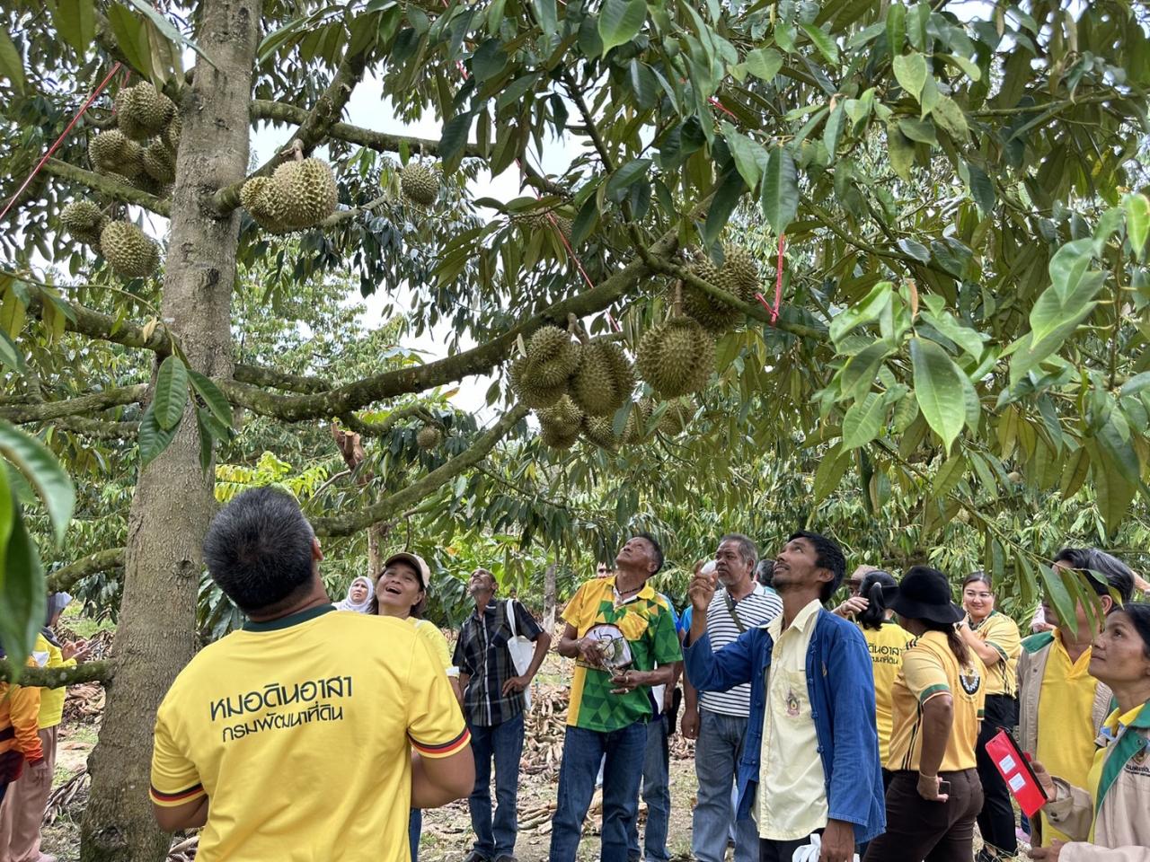 ภาพประกอบที่ 7