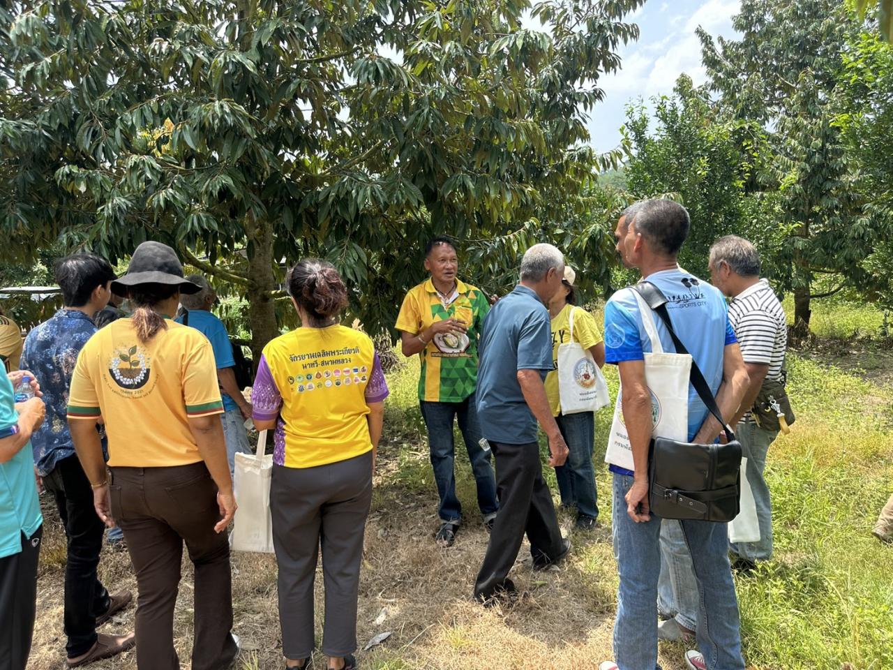 ภาพประกอบที่ 8