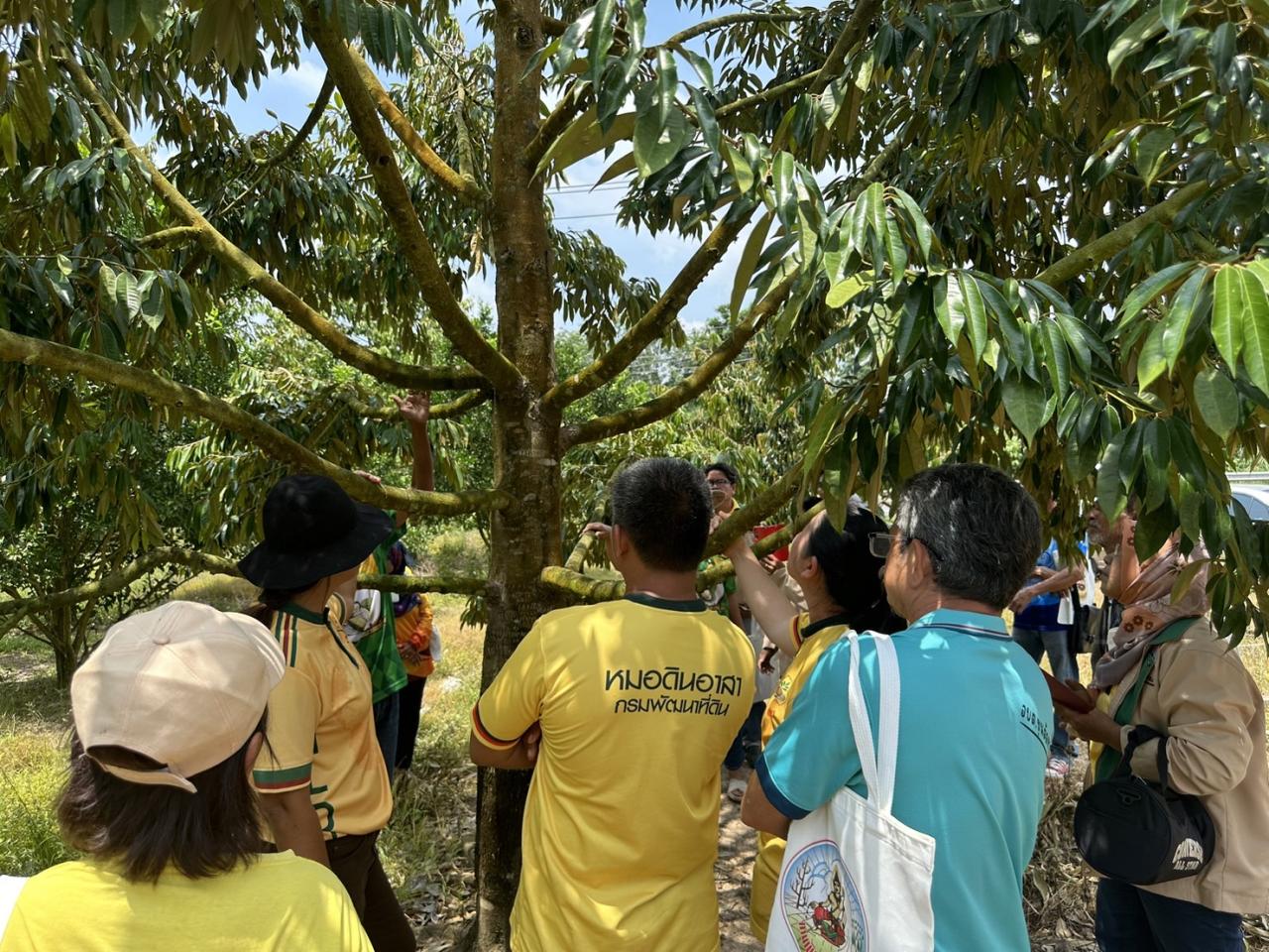 ภาพประกอบที่ 9