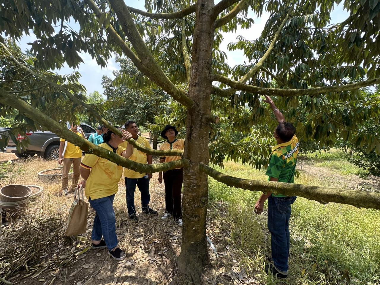 ภาพประกอบที่ 11