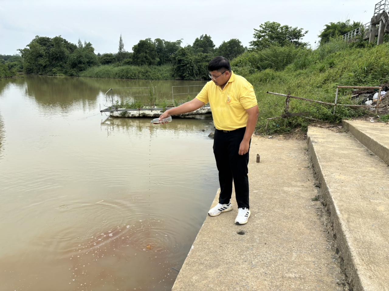 ภาพประกอบที่ 7