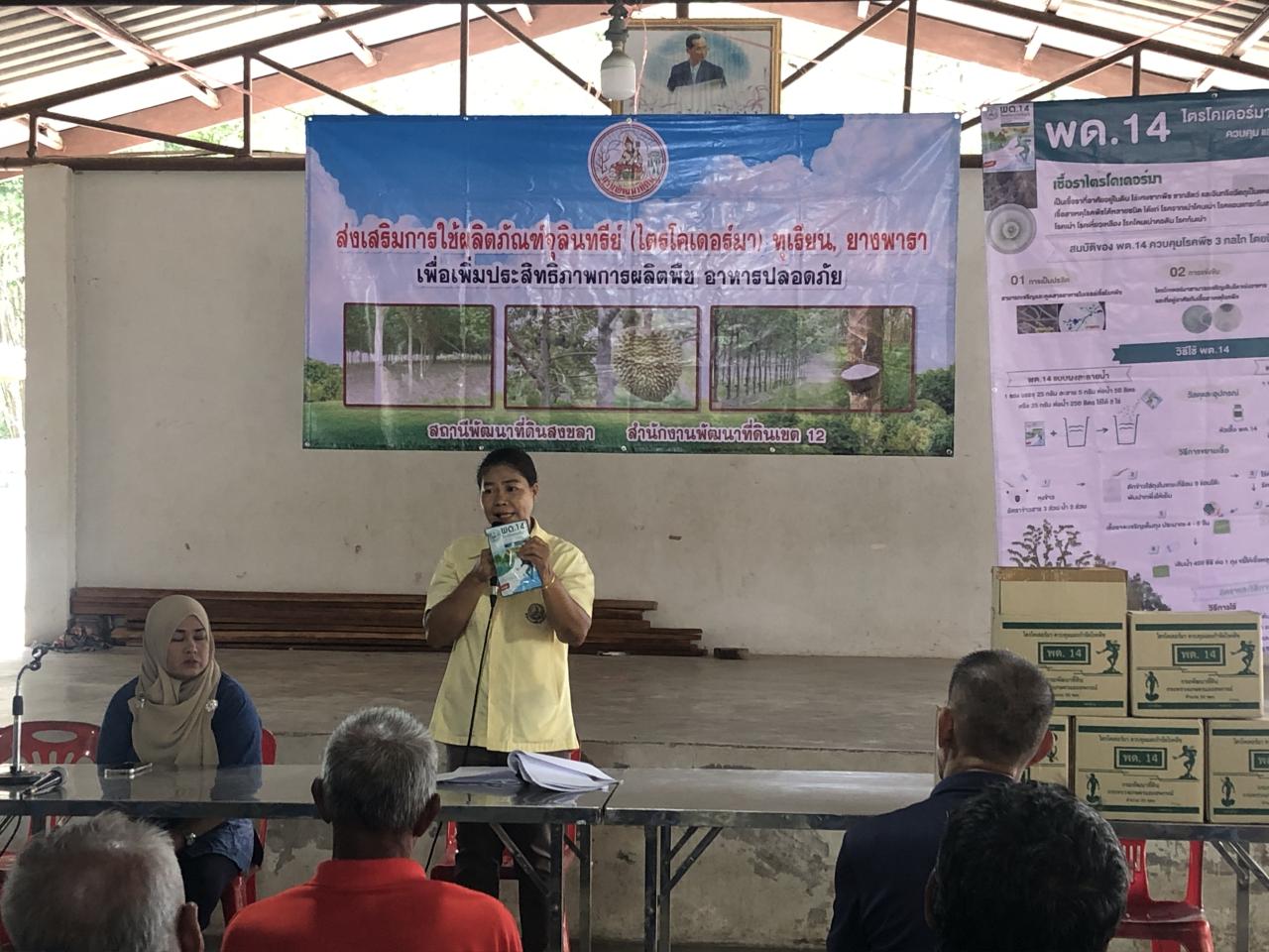 ภาพประกอบที่ 4