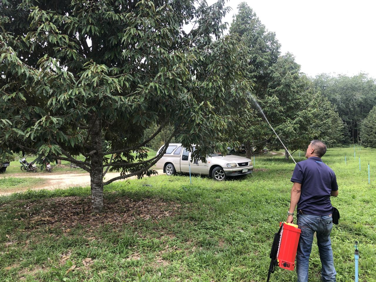 ภาพประกอบที่ 0