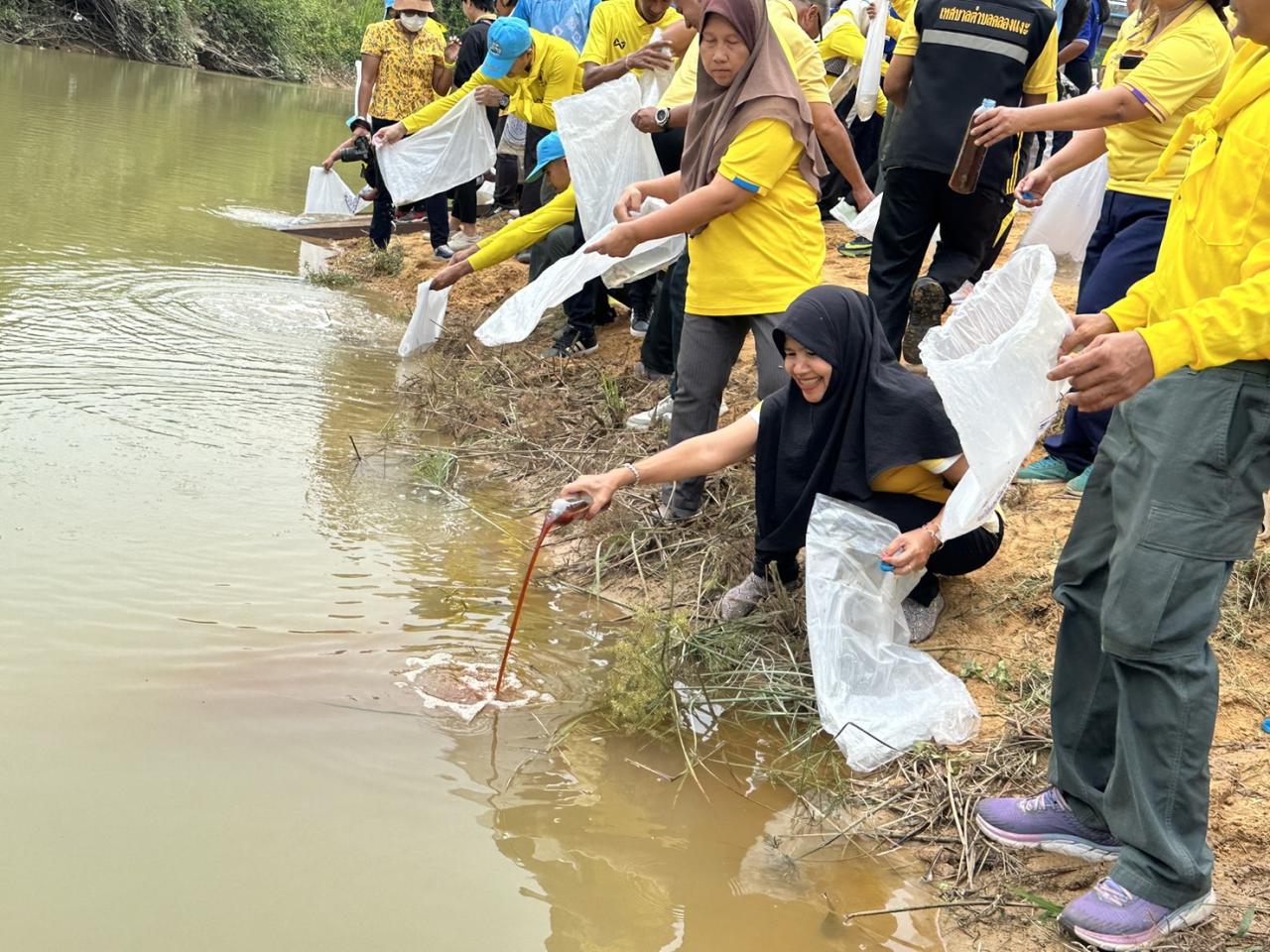 ภาพประกอบที่ 3