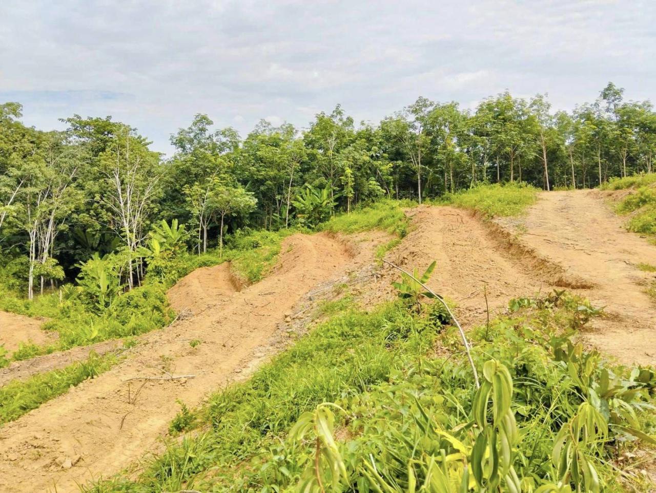 ภาพประกอบที่ 0