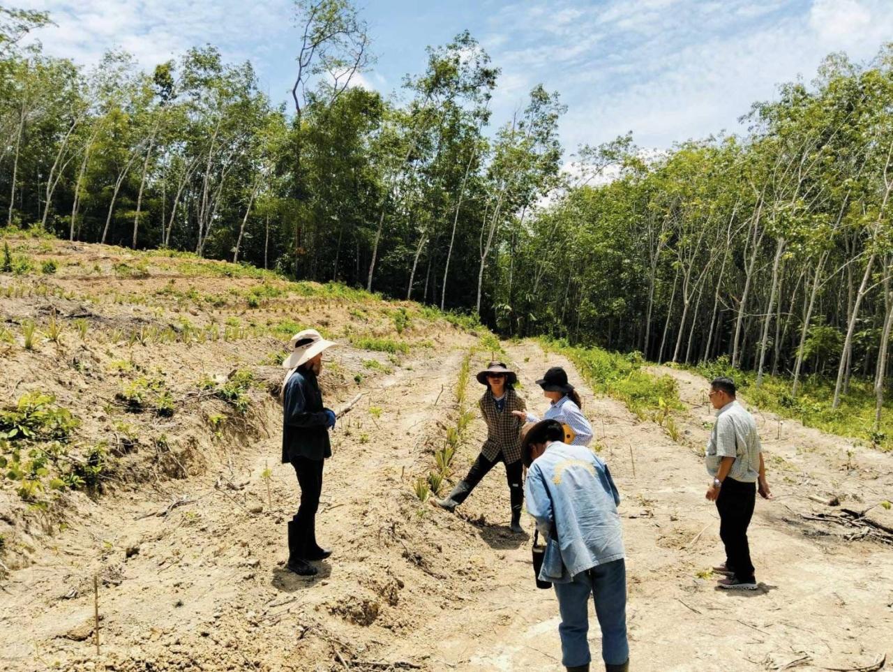 ภาพประกอบที่ 1