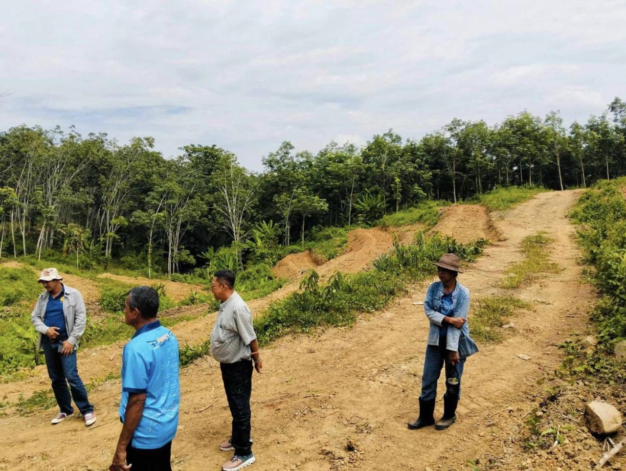 ภาพประกอบที่ 3