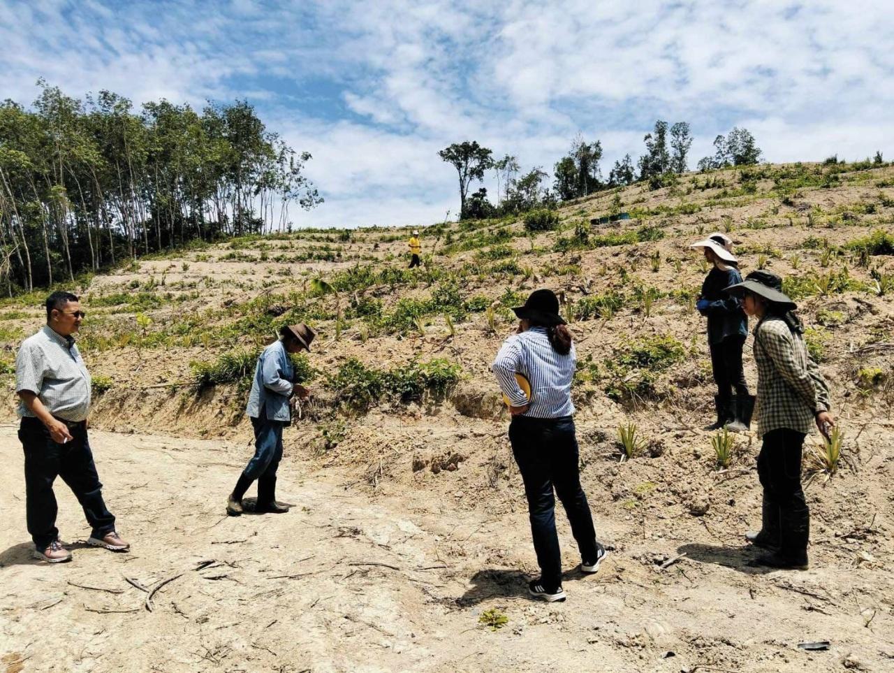 ภาพประกอบที่ 5