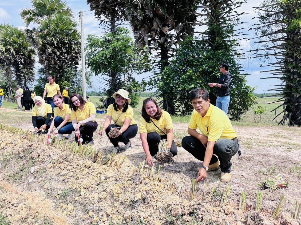 ภาพประกอบที่ 5