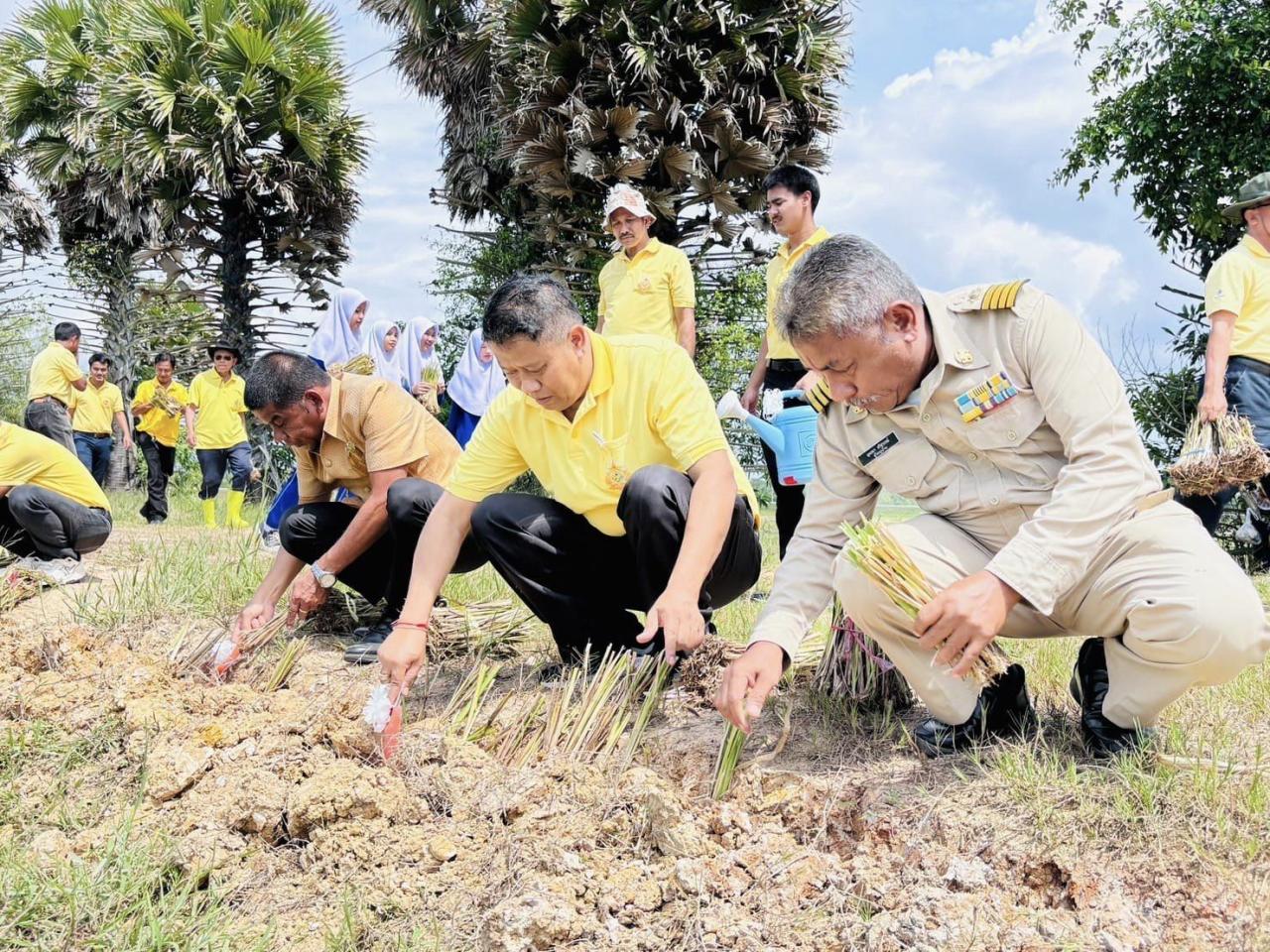 ภาพประกอบที่ 17