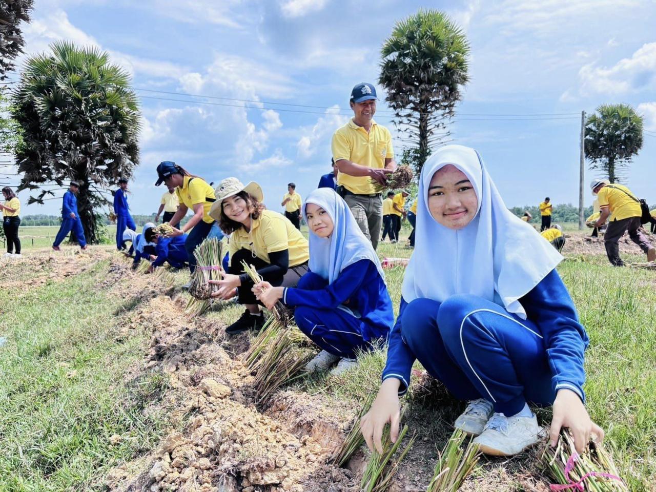 ภาพประกอบที่ 24