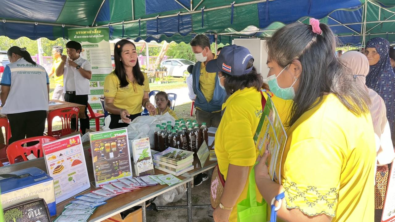 ภาพประกอบที่ 8